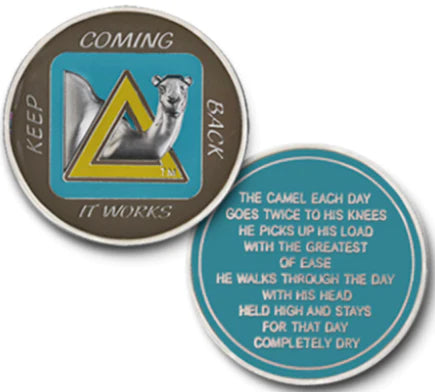 Z61a.  Sober Camel AA Medallion - Your Serenity Store