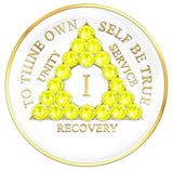 AA Medallion White w/Neon Yellow Yrs 1-40