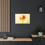 Kindness Motivational Canvas Art - Tulip