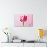 Gratitude Motivational Canvas Art - Tulip