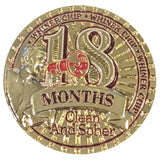 Big Whiner Chip 18 Month AA Medallion at Your Serenity Store