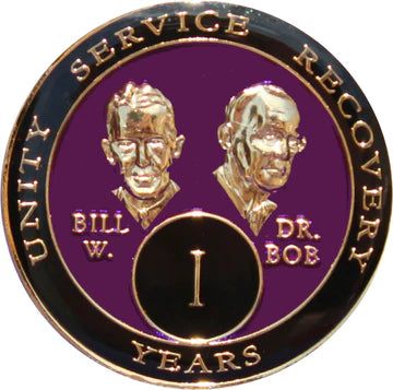B05: AA Medallion Bill & Bob Purple Coin (1-55 Yrs) at Your Serenity Store