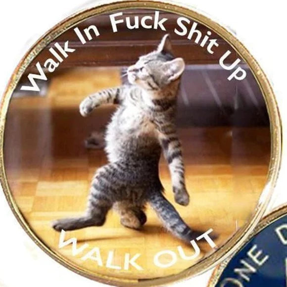 Z17p. Walk In Walk Out Recovery Medallion (Print Version)