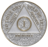 A92: AA Medallion Glitter Silver Chip (Yrs 1-40) at Your Serenity Store