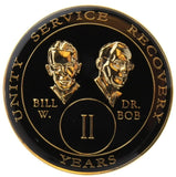 B02: AA Medallion Bill & Bob Black Coin (1-40 Yrs) at Your Serenity Store