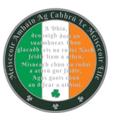 Big Lucky Irish Gaelic Coin AA Medallion (Yrs 1-50) at Your Serenity Store