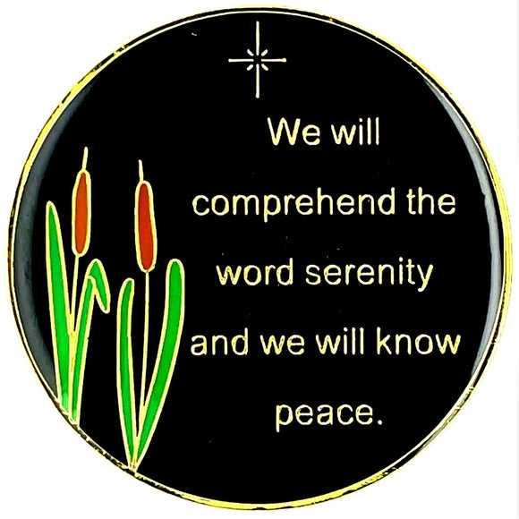 Dragonfly 9th Step AA Medallion 24hrs-60yr at Your Serenity Store