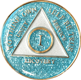 Glitter Turquoise Blue Circle Triangle AA Chip (Yrs 2-50)  A27. at Your Serenity Store