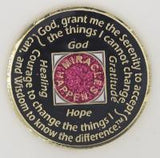 N05. NA Medallion Glitter Pink Coin w White Crystals (Yrs 2-40) at Your Serenity Store