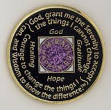 N12. NA Medallion Glitter Lavender Coin with Purple Transition Crystals (Yrs 1-40) at Your Serenity Store