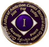 N30. NA Medallion Purple Coin (Yrs 1-40) at Your Serenity Store