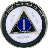 Premium AA Medallion "I am Responsible" (24hr-40 Years) at Your Serenity Store