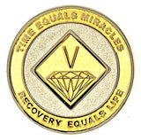 Premium NA Medallion Gold & Nickel Bi-Plate Chip (1-40 Years) at Your Serenity Store