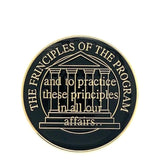 Premium Principles of the Program Recovery Medallion in Multiple Colors at Your Serenity Store