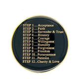 Premium Principles of the Program Recovery Medallion in Multiple Colors at Your Serenity Store