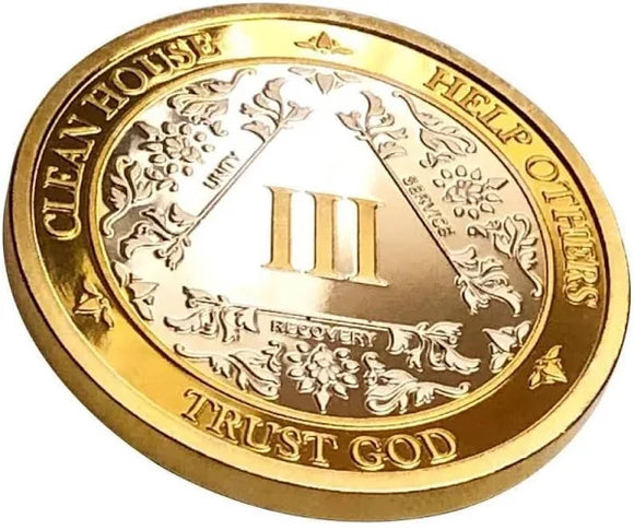 A28F. Big Fancy Sterling Silver-24k Gold AA Medallion (Yrs 1-60) - Your Serenity Store
