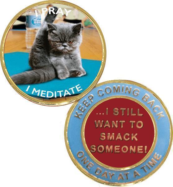 Z19. Yoga Cat Recovery Medallion at Your Serenity Store